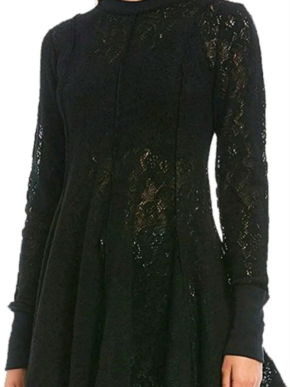 Free People Black Lace Long Sleeve Fit-and-Flare Dress